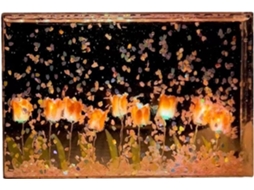 Brilho floral suave, linda iluminação decorativa com pétalas em movimento.
