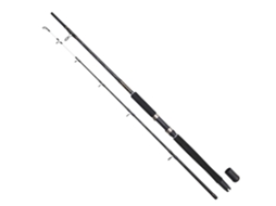 Cana Pesca de Fundo Imax Nova Hard Core Boat Prateado 2.10 M / 20-30 Lbsdam