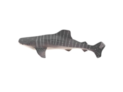 Rebe-modelo De Animal Marino Simulado Juguete Cute Y Vívido Para Niños Regalo Decoración Hogar