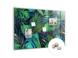 Quadro Magnético Folhas Exóticas Para A Cozinha Espelharte (100x70 Cm)