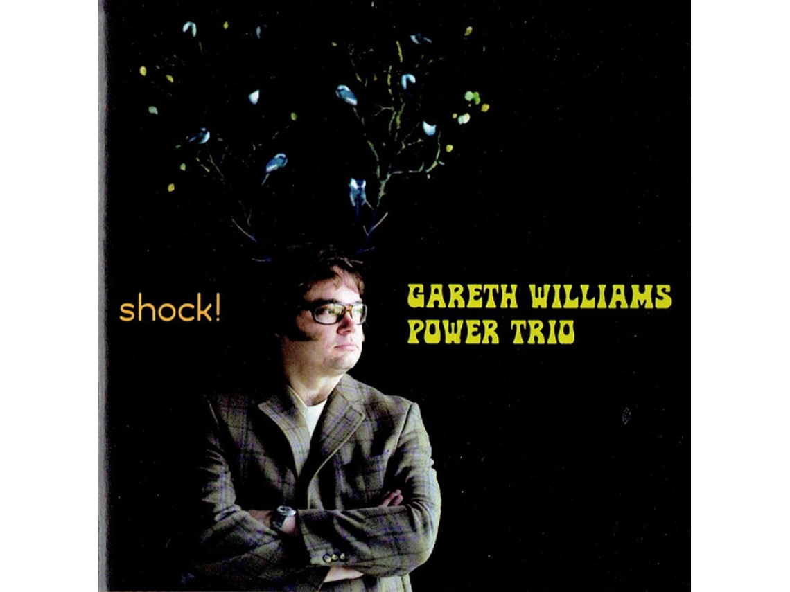 CD Gareth Williams Power Trio - Shock!