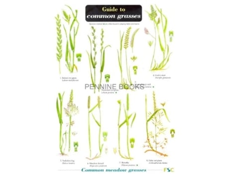 Livro Guide to Common Grasses de Mark Gardener (Inglês)