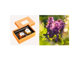 Set De Presente De Cera De Soja Com Óleo Essencial Para Aromaterapia No Quarto