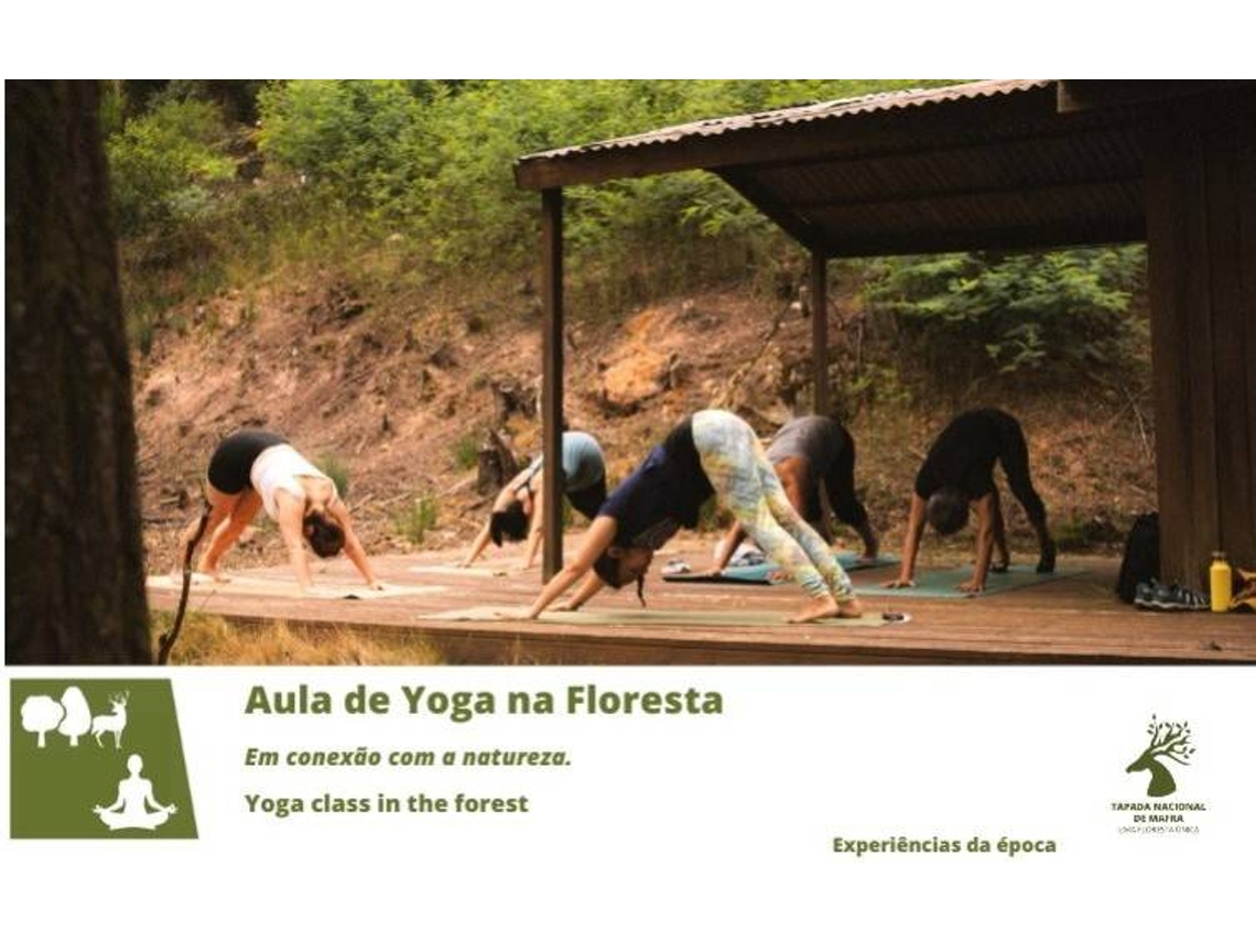 Bilhete TAPADA NACIONAL DE MAFRA - AULAS DE YOGA NA FLORESTA - OUTONO