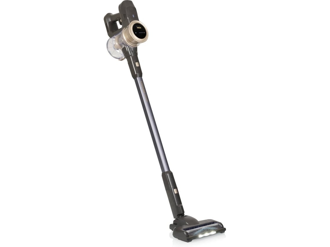 Aspirador Vertical PRINCESS 339395 PET (Outlet Grade A - Autonomia 45 min - 800 ml)