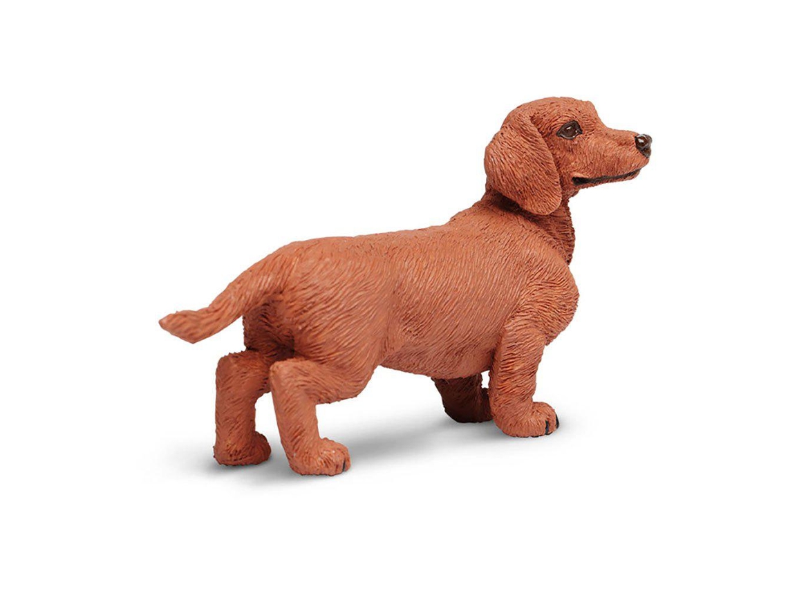 SAFARI Dachshund
