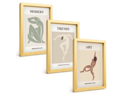 Um Conjunto De Imagens Decorativas Em Uma Moldurafiguras Elegantes Em Minimalismo Moldura Dourada Pinturas De Quarto Espelharte (3 Peças 20x30 Cm)