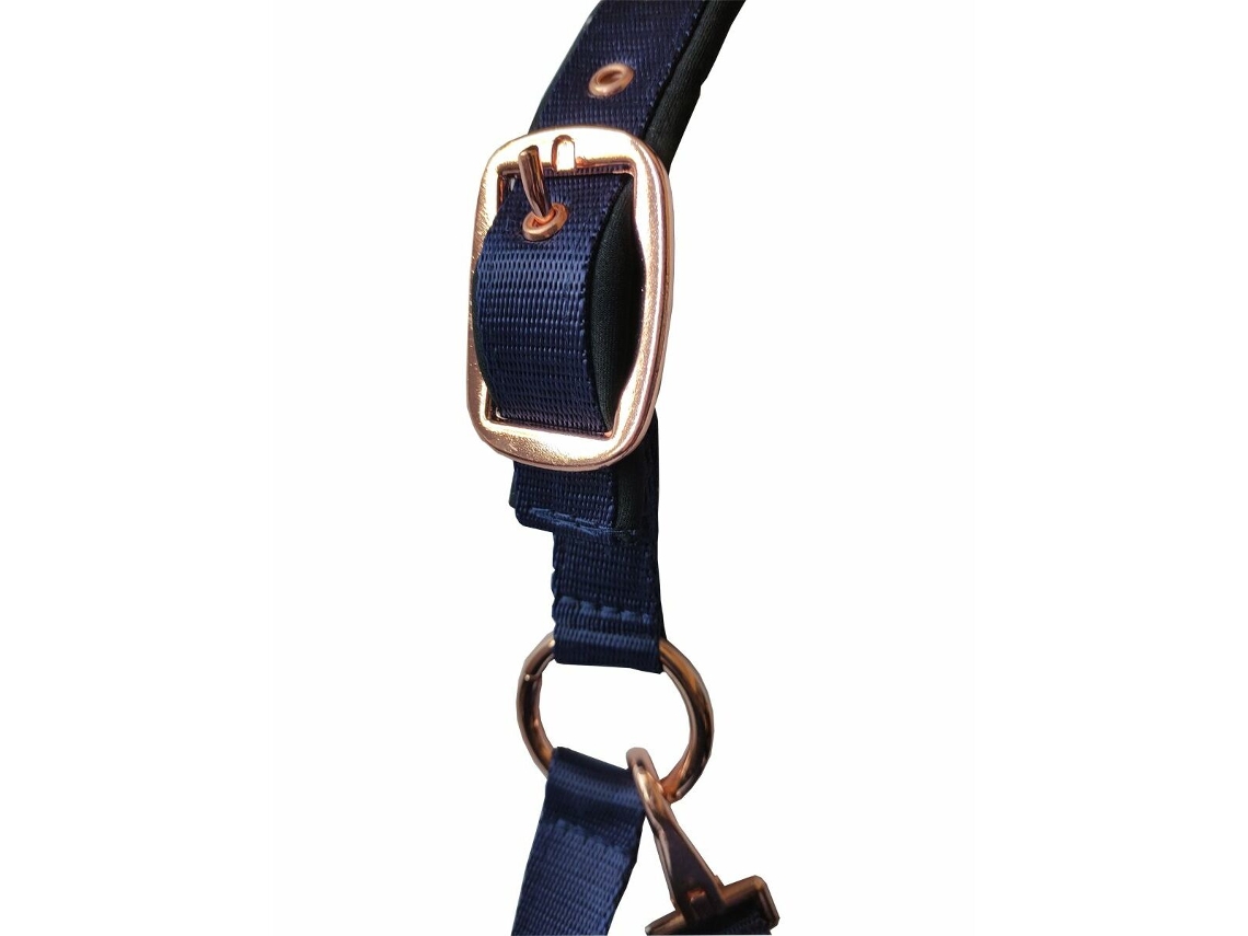 Set cordão + cabresto Daslö Gold