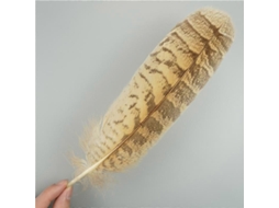10 Plumas De Águila Naturales Para Manualidades Adornos De Headdress Decoración Festiva Diy 25-30 Cm 10-12 Polegadas3 10 Unidades