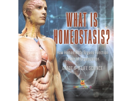 Livro What is Homeostasis? How Human Body Organs Function Levels of Organization Grade 6-8 Life Science de Baby Professor (Inglês)