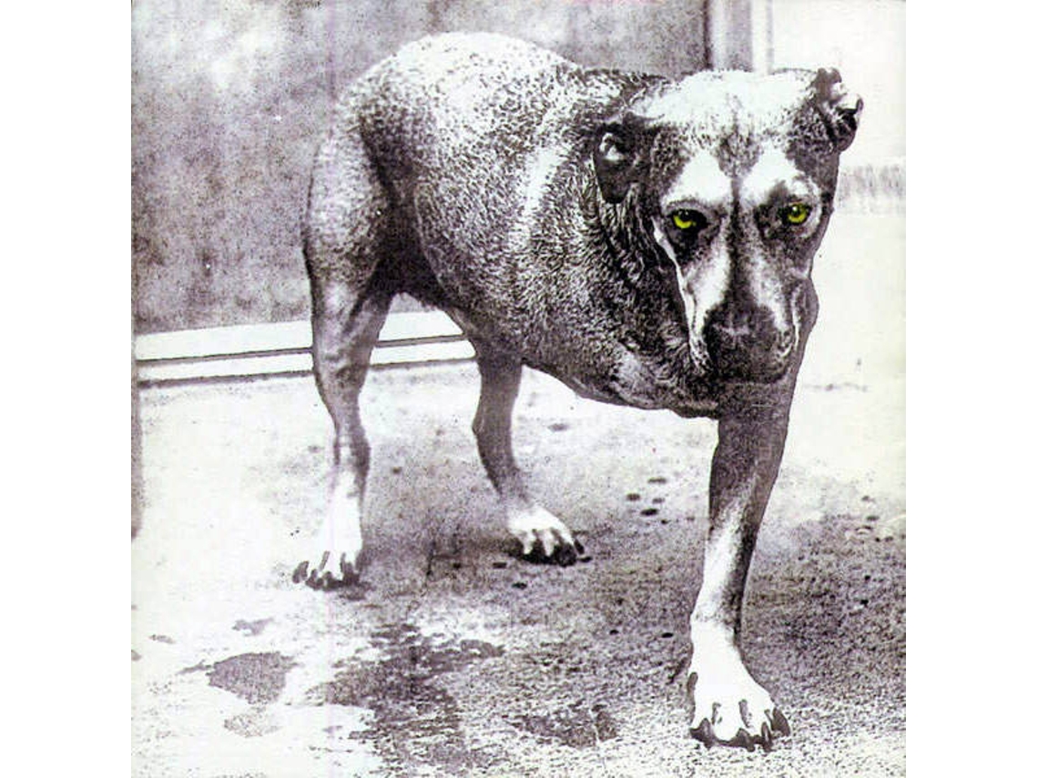 CD Alice In Chains - Alice In Chains