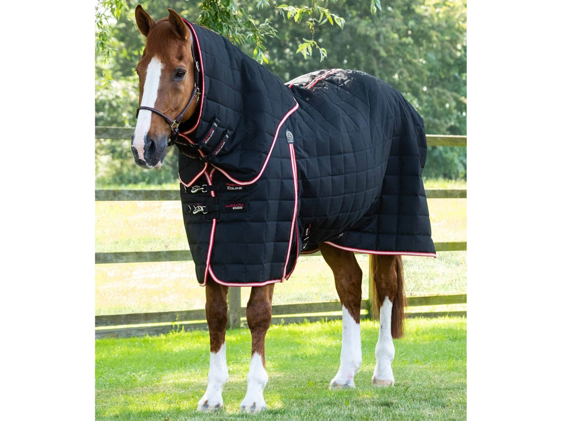 Manta Estável para Cavalos com Cobertura de Pescoço Lucanta 200 G PREMIER EQUINE