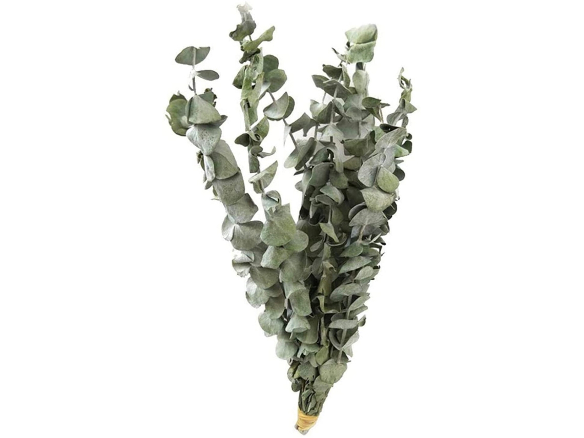 Ramos de Eucalipto Seco 10 Ramos LAXISCREED para Decoração Natural Estilo Nórdico