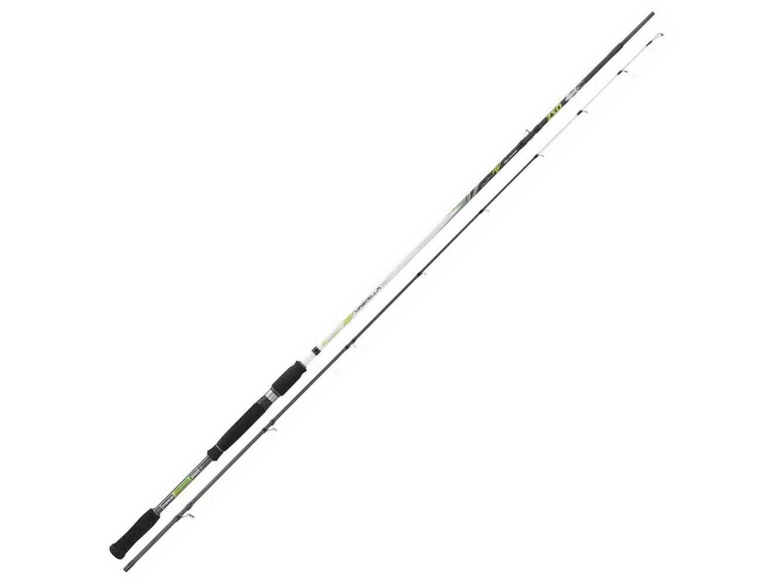 Cana Egging Mascella Prateado 2.50 M / 1.6-3.5 Egikali Kunnan
