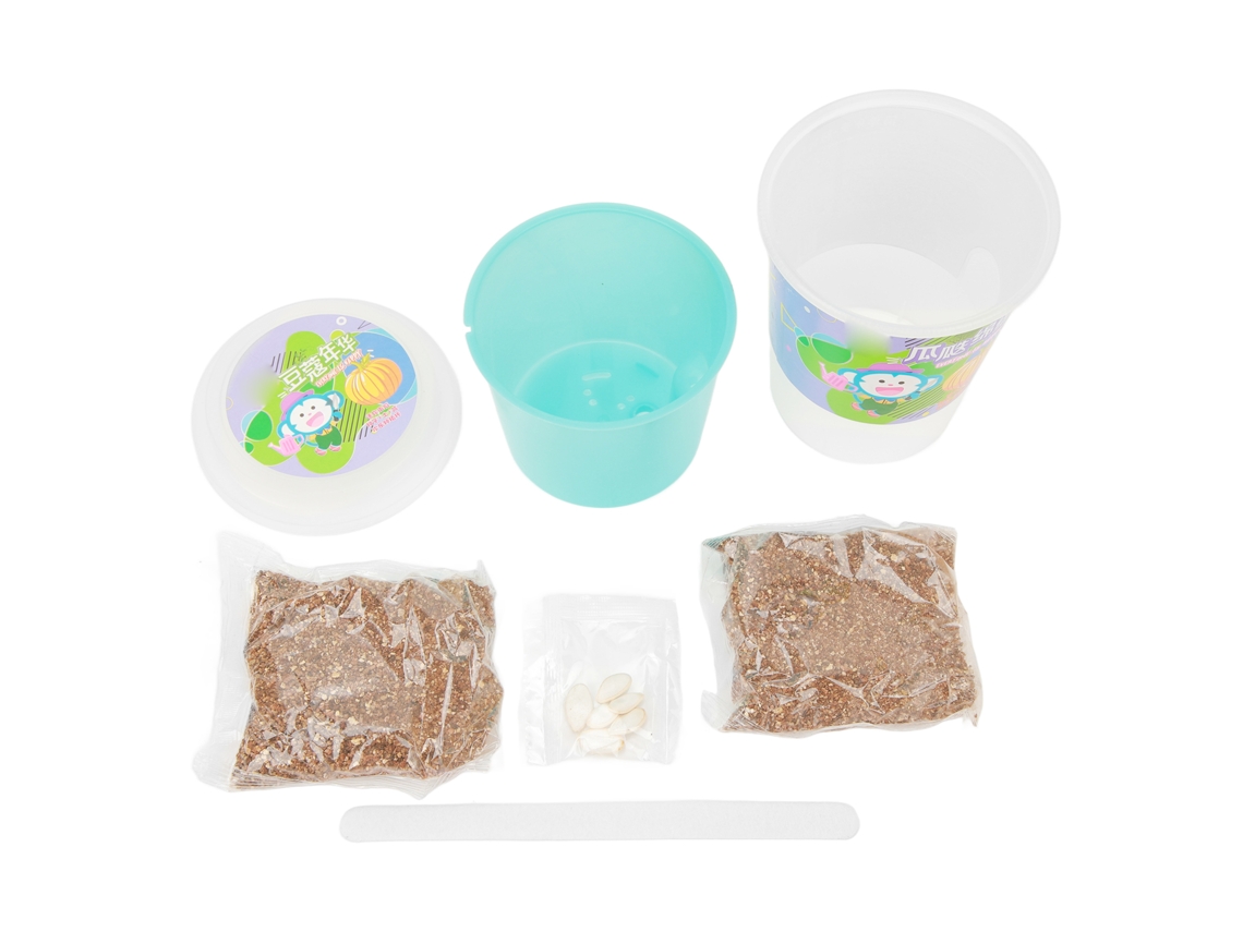 Mali kit de Crescimento de Plantas em Pote Pequeno para Crianças com Sementes, Solo e Copo de Plantio Diy Abóbora