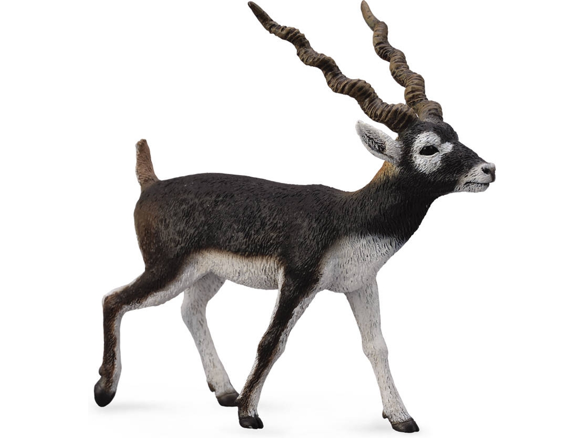 Figura COLLECTA Blackbuck