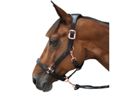 Cabresto em nylon/couro Flags&Cup