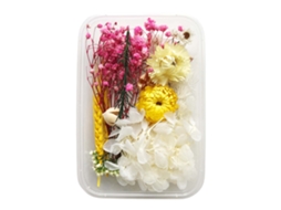 Kit De Flores Secas E Aromaterapia Laxiscreed Com 10 Peças Para Decoração E Diy