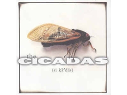 CD The Cicadas  - The Chymical Wedding of Brooks Strause (1CDs)