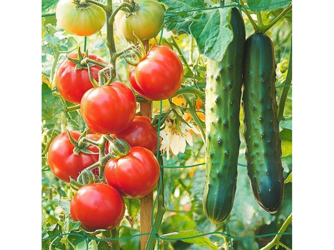Suporte Para Plantas 1,8 X 1,8 M - Ajuda À Climatização - Suporte Para Jardim - Ondersteio Para Hortaliças - Distância Entre As Fitas 10 Cm - Seguro P