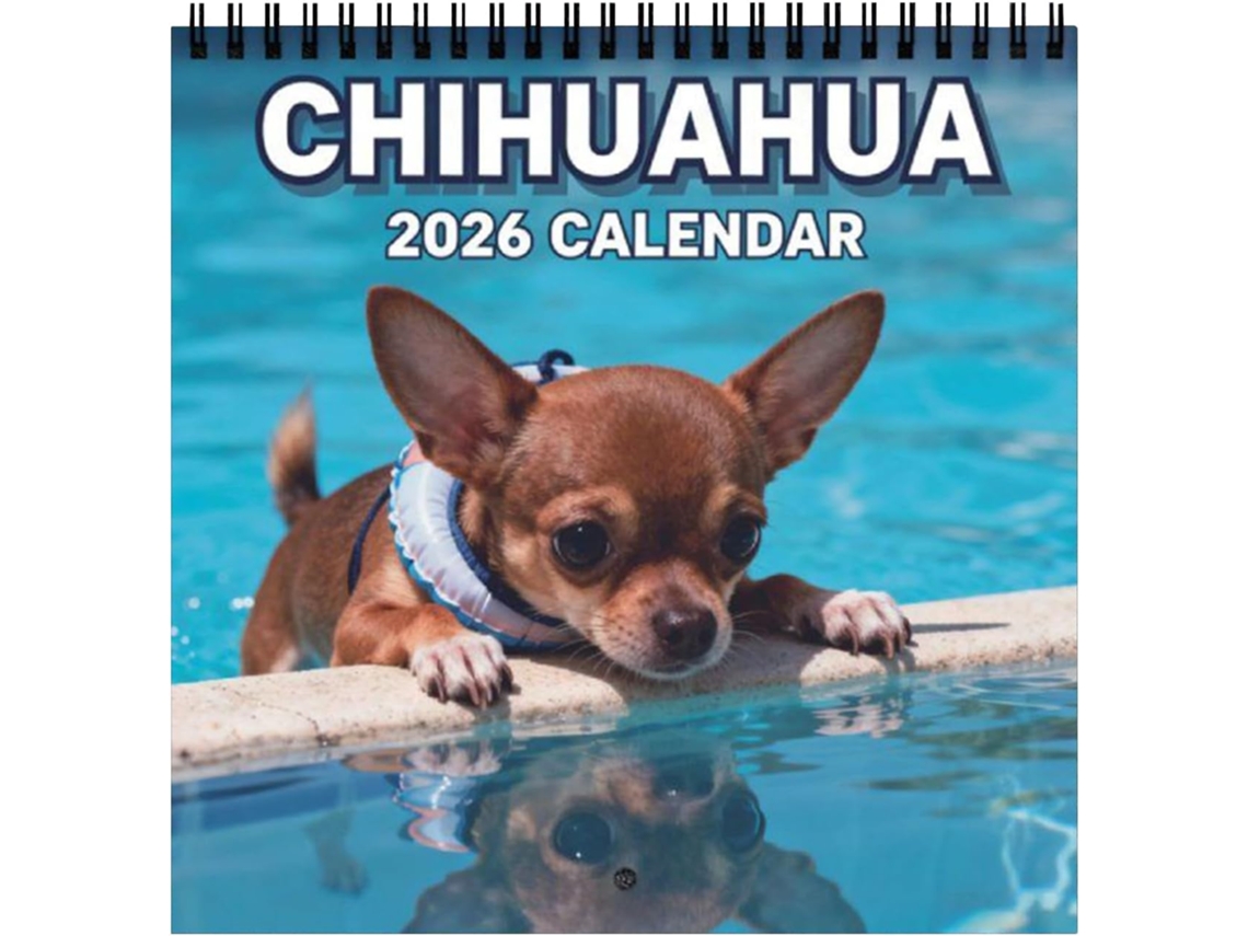 Calendário 2026, Planejador Mensal Com Tema De Cachorro, De Parede Para O Ano De, Ideal Para Quarto, Viagem
