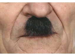 Bigode DISFRAZZES Investigador (Tam: Tamanho Único)