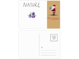 Conjunto de 20 Cartões postais com Pintura do Papai Noel e Planta Mirtilo em Soloisland. 14,6 X 9,8 Cm