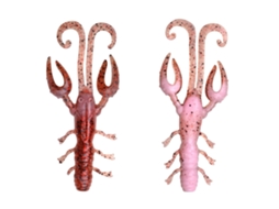 Conjunto de 7 iscas Spro Scent Series Insta Craw