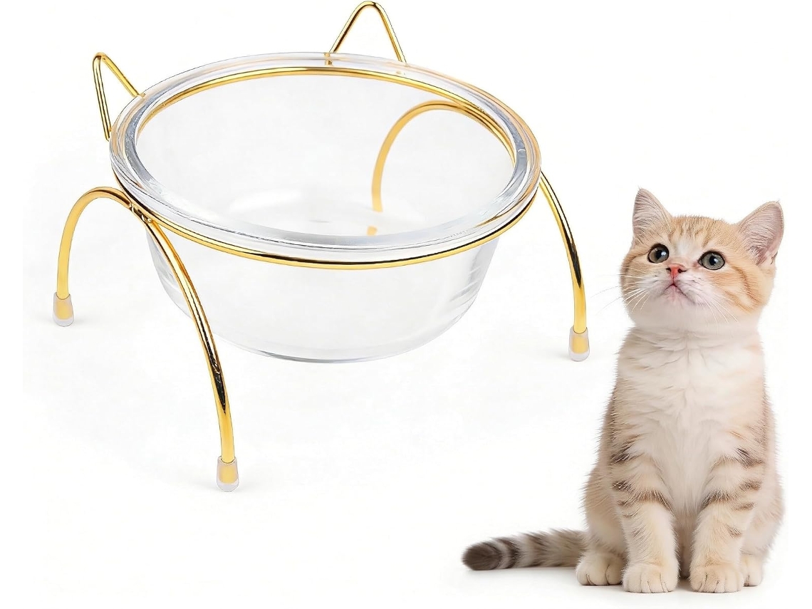 Comedouro Elevado de Vidro para Gatos com Suporte Metálico Inclinável, Alto para Gatos AQUAFORGE