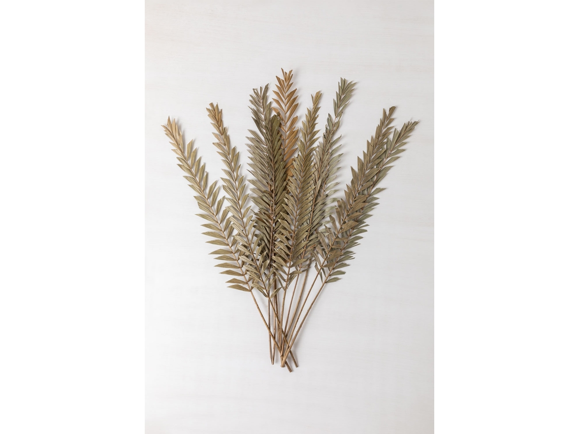 SKLUM Ramos Secos Decorativos Sarat Fibra Vegetal Verde Bambu