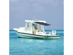 Vidaxl Extensão De Toldo Em T 170x208x(115-183) Cm Azul-marinho