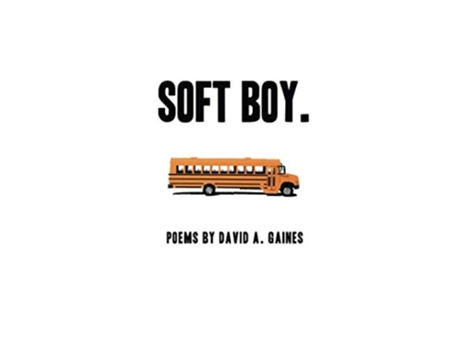 Livro Soft Boy. De David A Gaines (inglês)