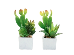 2 Peças de Planta Suculenta Cacto Simulada Bonsai Ornamentos Pequenos Criativos em Vasos Quadrados NEVEANCE