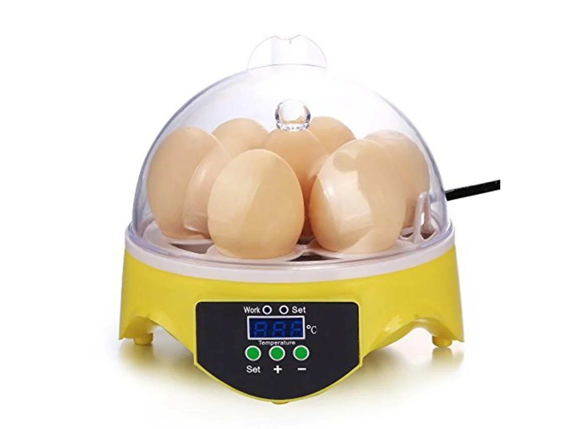 Incubadora Digital Automática Para 7 Ovos Com Função Automática