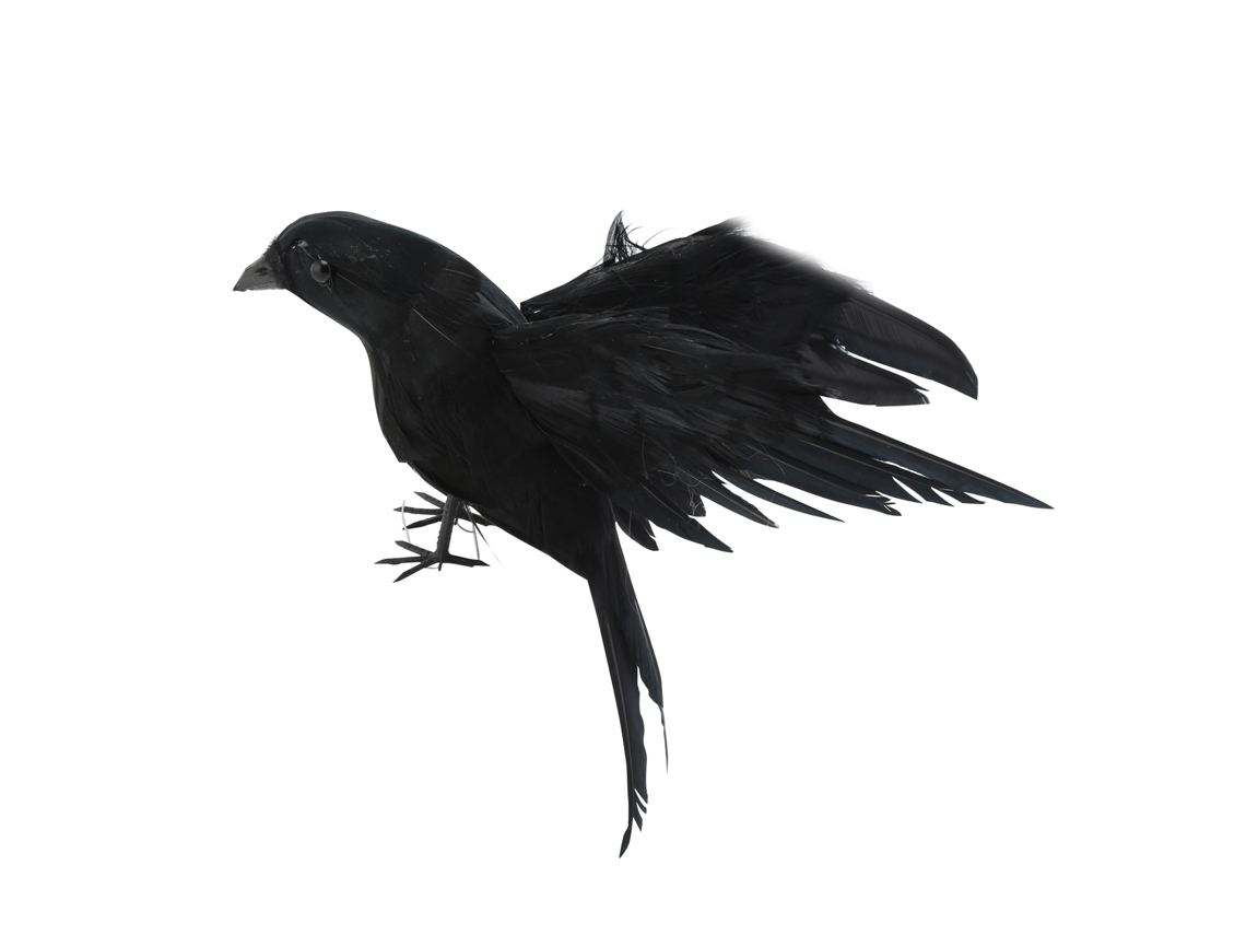 Laxiscreed Corvo Artificial Para Decoração De Halloween Com Asas Estendidas