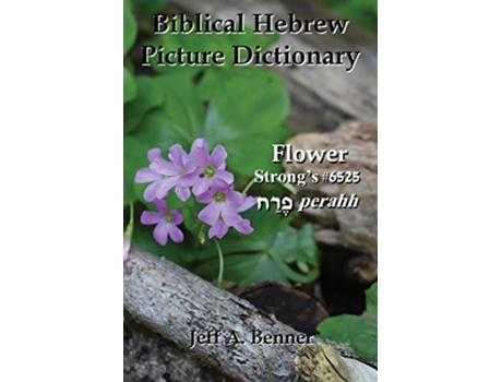Livro Biblical Hebrew Picture Dictionary de Jeff A Benner (Inglês)