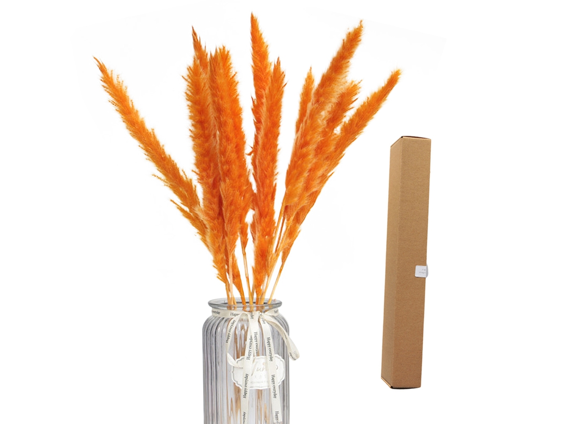 Arranjo de Pampas Grass Natural para Decoração Boho em Casa LAXISCREED