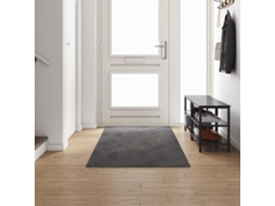 Vidaxl Runner De Carpete Cinzento 100 X 300 Cm 100% Polipropileno Tuft