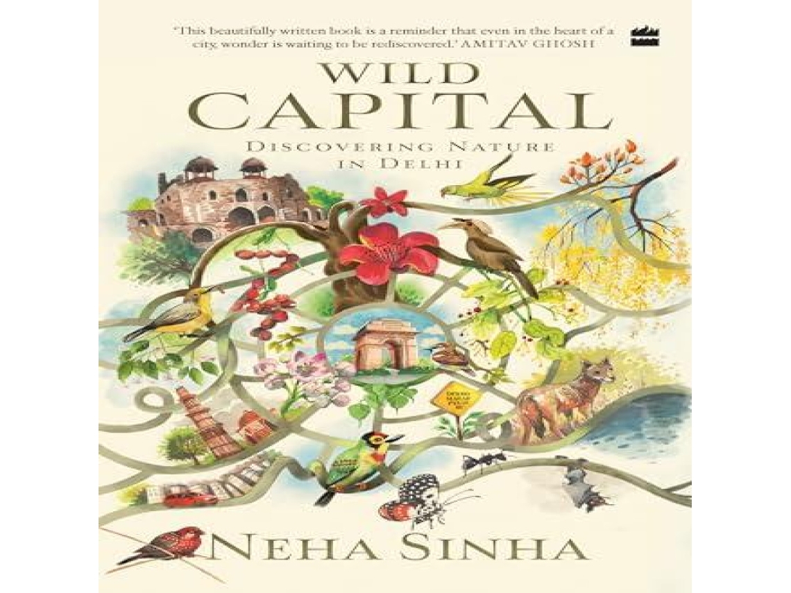 Livro Wild Capital de Neha Sinha (Inglês)