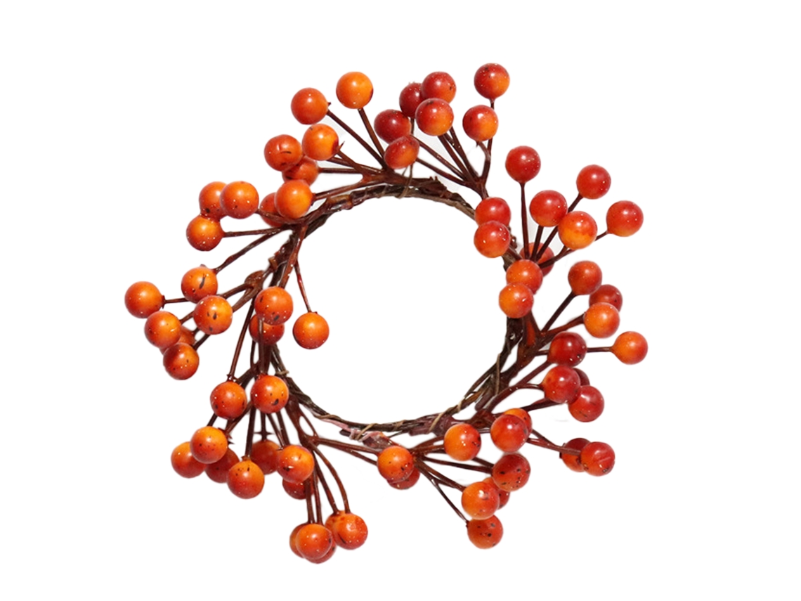 Laxiscreed Guirlanda De Halloween Laranja Com Frutos Para Porta E Decoração De Ação De Graças
