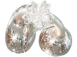 Meia Peça De Decoração Em Cristal Ouvido Para Fones Com Clipe - Acessórios Decorativos Removíveis