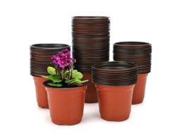 KOFIHETY Pack Com 100 Bacias Descartáveis Bicolor Modelo 100