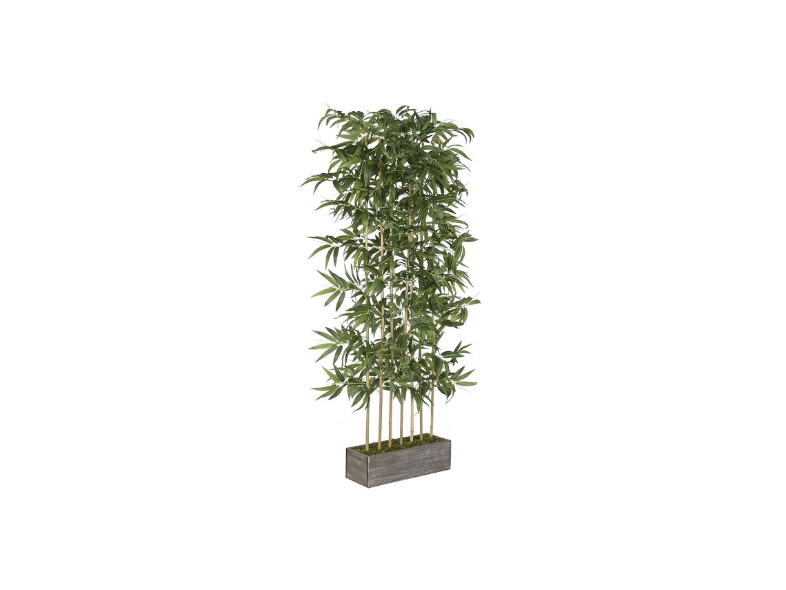 Planta Decorativa Home Esprit Madeira Bambu Polietileno Oriental