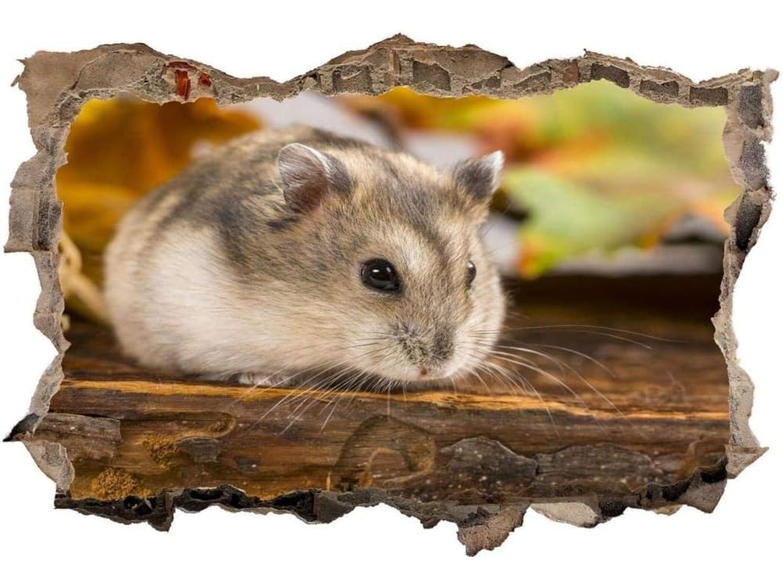 Adesivos Muraux Close-up Cinza Hamster Adesivo Adesivo Mural Para Salão De Beleza Quarto Cozinha Escritório Adulto Criança 56x81cm