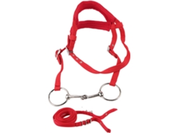 Noiva Réglable Pour Cheval com Coussin Doux, Rouge SFUSHOS