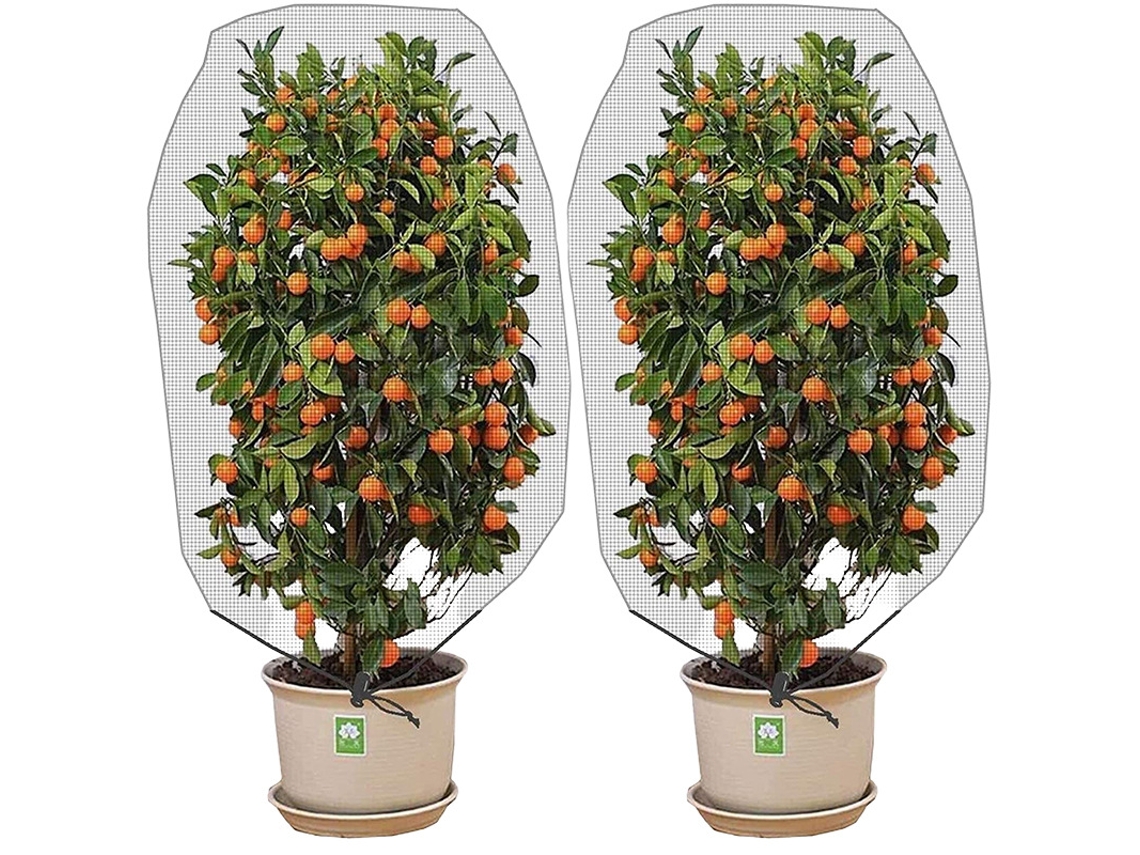 Gaiolas para plantas AQUAFORGE, suportes para trepadeiras