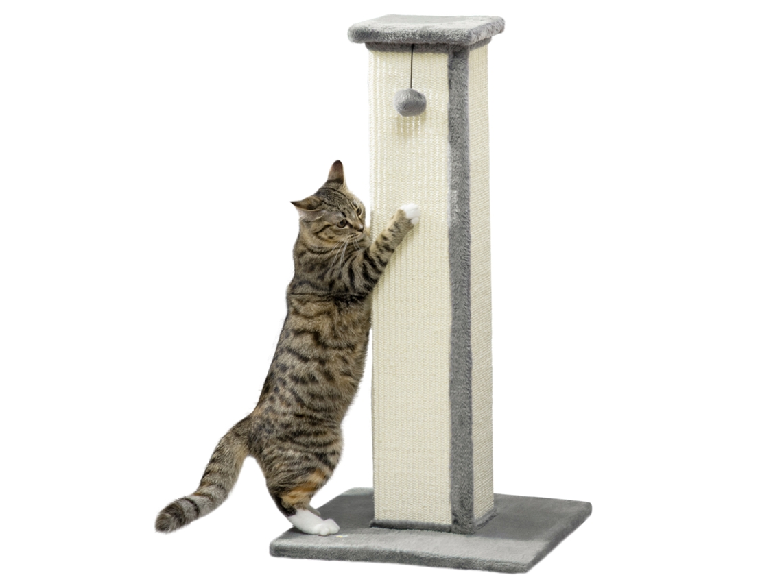 Arranhador de Gato Altura 81 Cm Arranhador de Gato com Poste de Sisal e Bola Pendurada 41x41x81 Cm Cinza Ge
