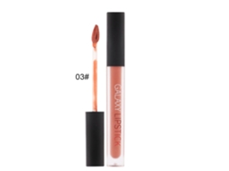 Brillo Labial Mate Para Mujer Lip Glaze Impermeable Largo Duración Lápiz Labial Líquido Cosmético 3