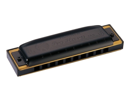 Harmónica  Pro Harp 562-20 Dó (C)