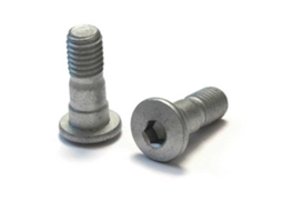 Sr Suntour Clamping Bolt Set
